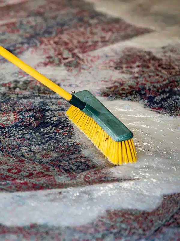 Area Rug Cleaning in Taylorsville