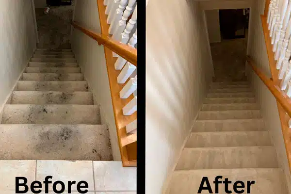 Carpet-Cleaning