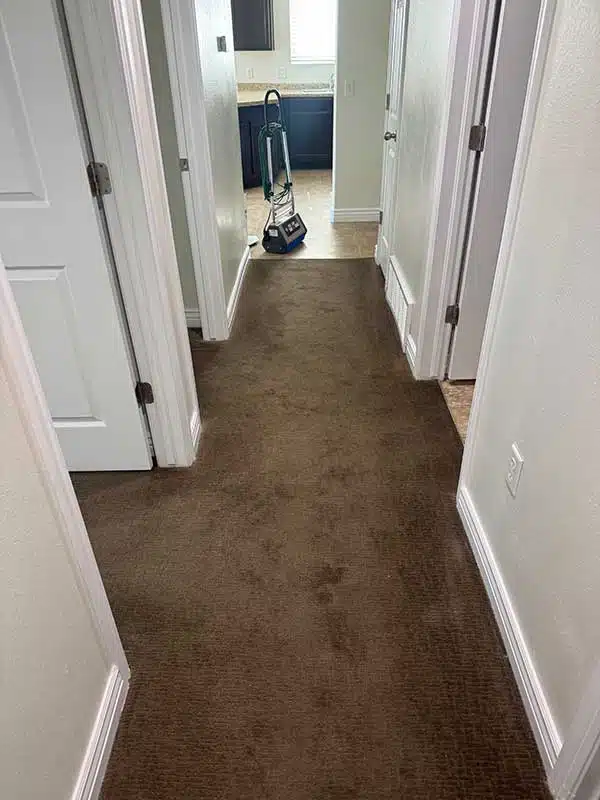 Carpet Cleaning in Lehi, UT