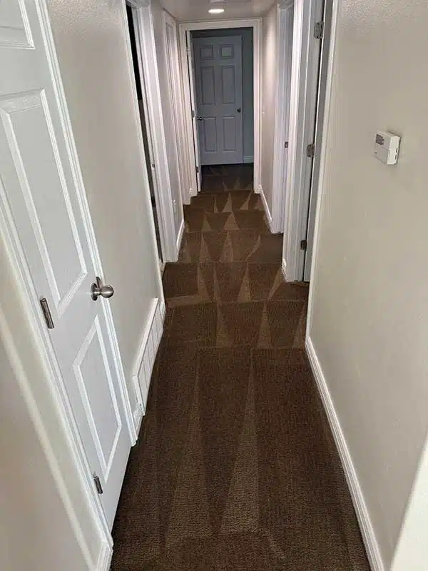 Carpet Cleaning in Lehi, UT