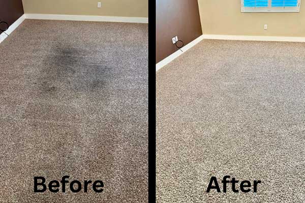 Pet Odor and Stain Removal in Taylorsville