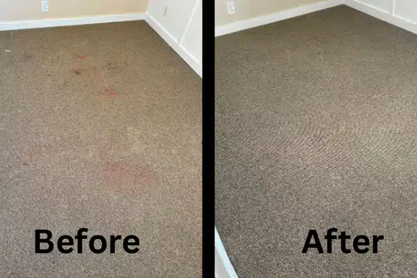 Pet Odor and Stain Removal in Taylorsville
