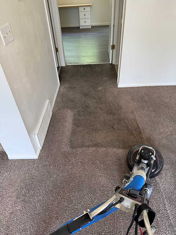 Residential Carpet Cleaning in Taylorsville