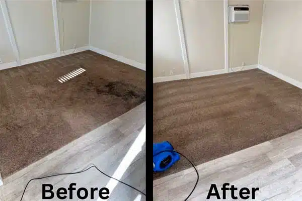 Residential Carpet Cleaning in Taylorsville